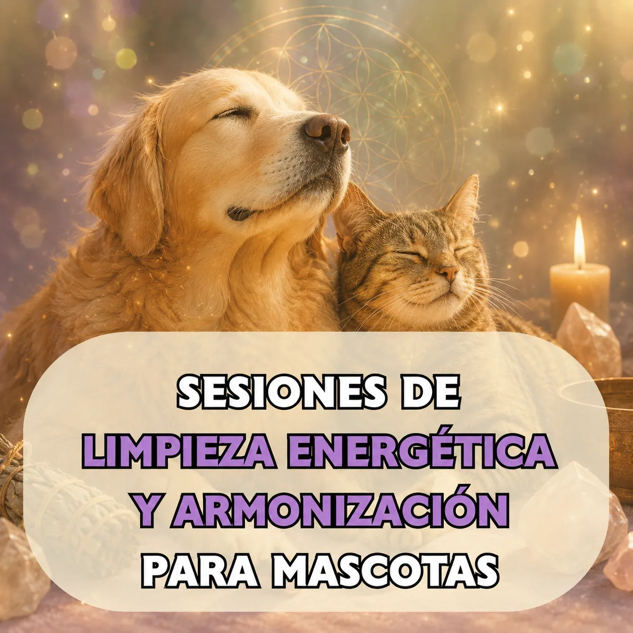 SESION DE ARMONIZACIÓN Y LIMPIEZA ENERGÉTICA PARA MASCOTAS