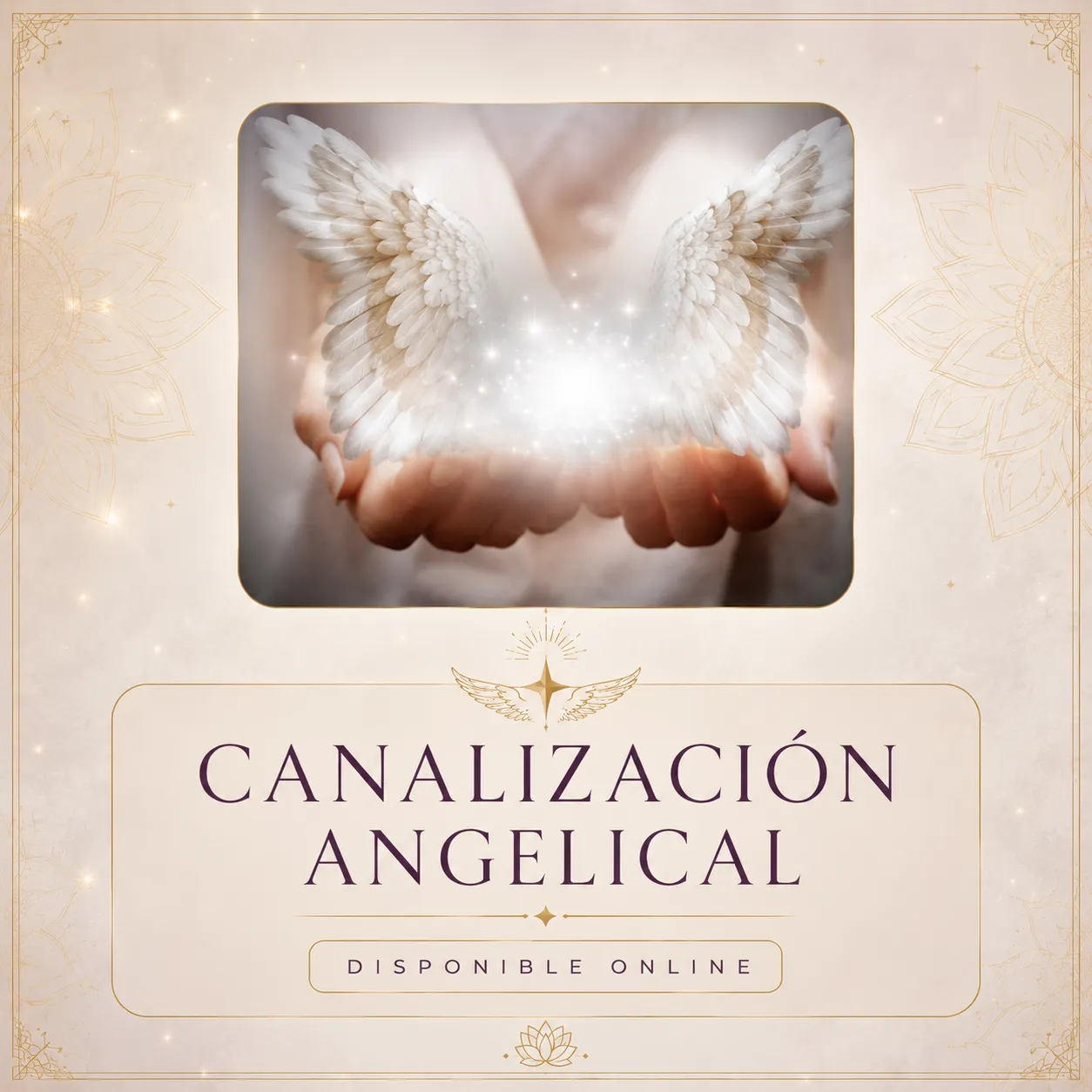 CANALIZACION ANGELICAL